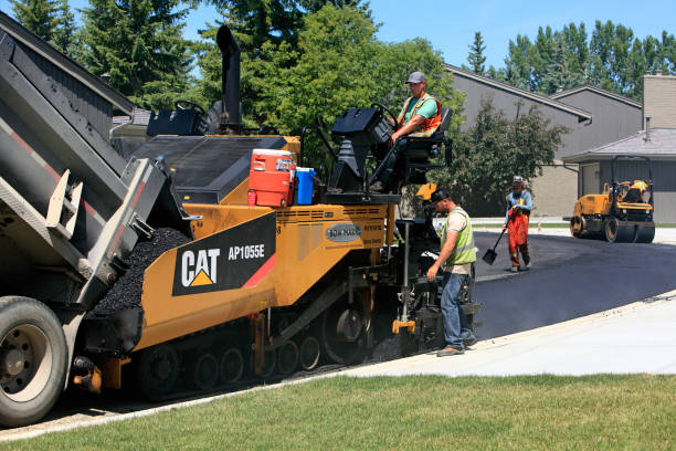 Best Decorative Driveway Pavers  in Slayton, MN