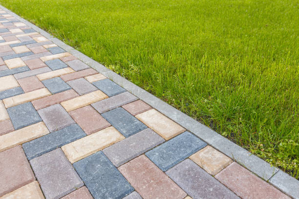 Best Best Driveway Pavers  in Slayton, MN